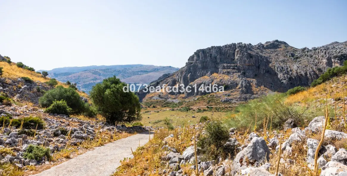Venta de otros en Montejaque 7