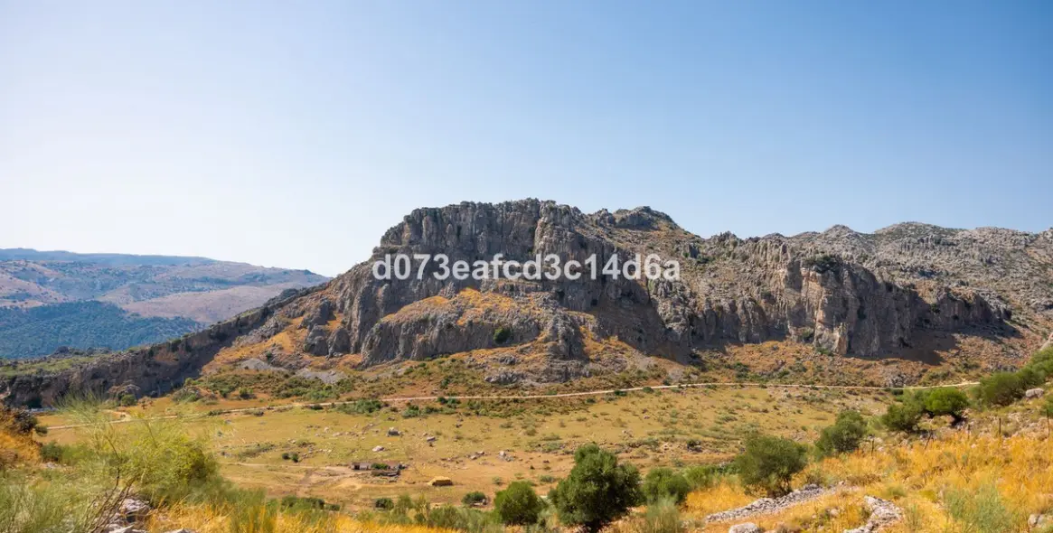 Venta de otros en Montejaque 8