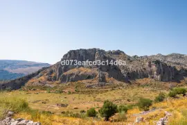 Image 8 thumb