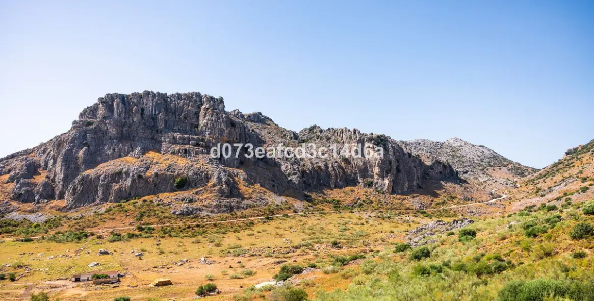 Venta de otros en Montejaque 9