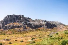 Image 9 thumb