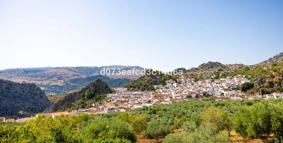 Venta de otros en Montejaque 10