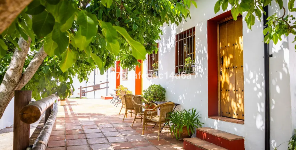 Venta de otros en Montejaque 44