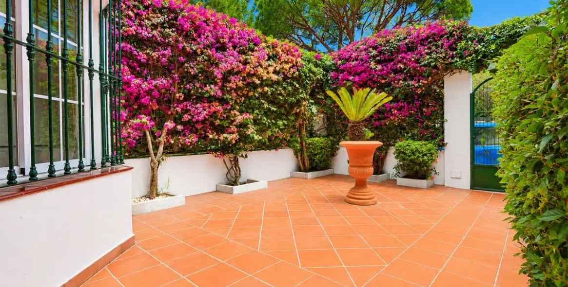 Sale of semi-detached house in Cabopino 5