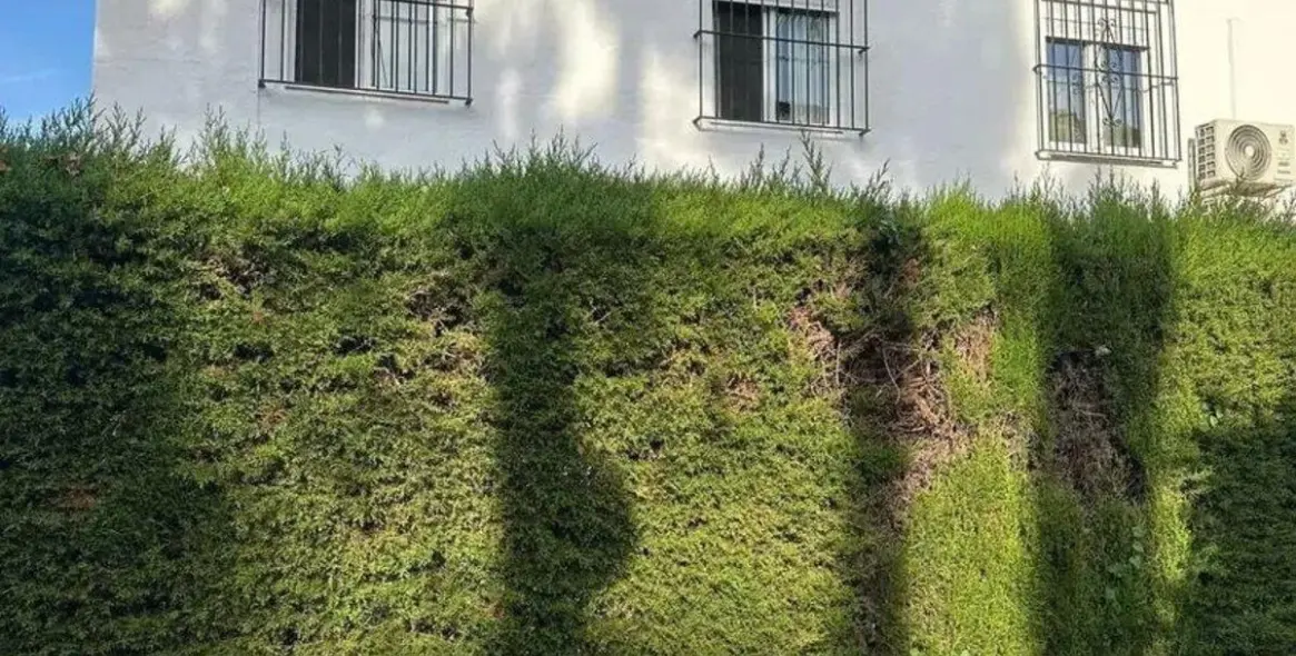 Продажа таунхауса в Bel Air 26