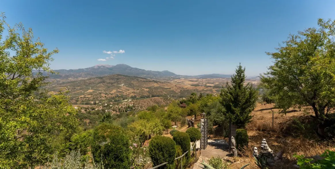 Venta de finca - cortijo en Guaro 44
