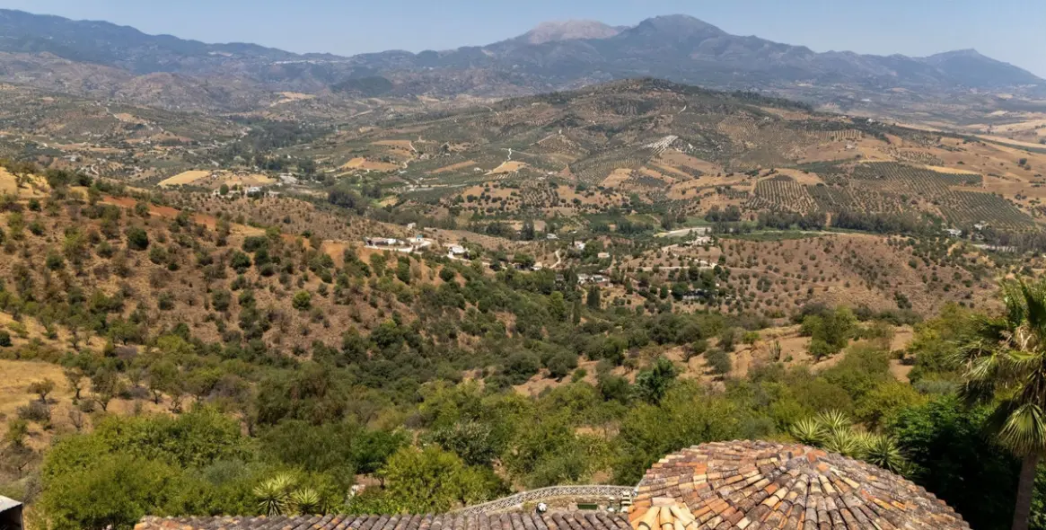 Venta de finca - cortijo en Guaro 49