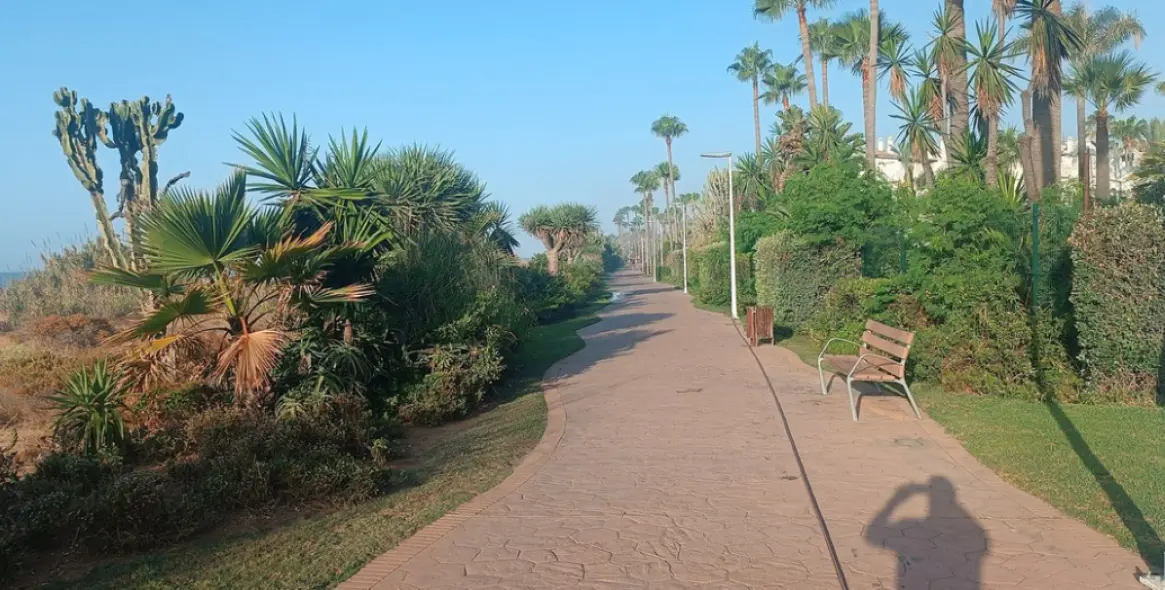 Sale of ground floor apartment in Estepona 38