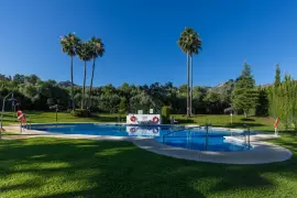 Image 43 thumb