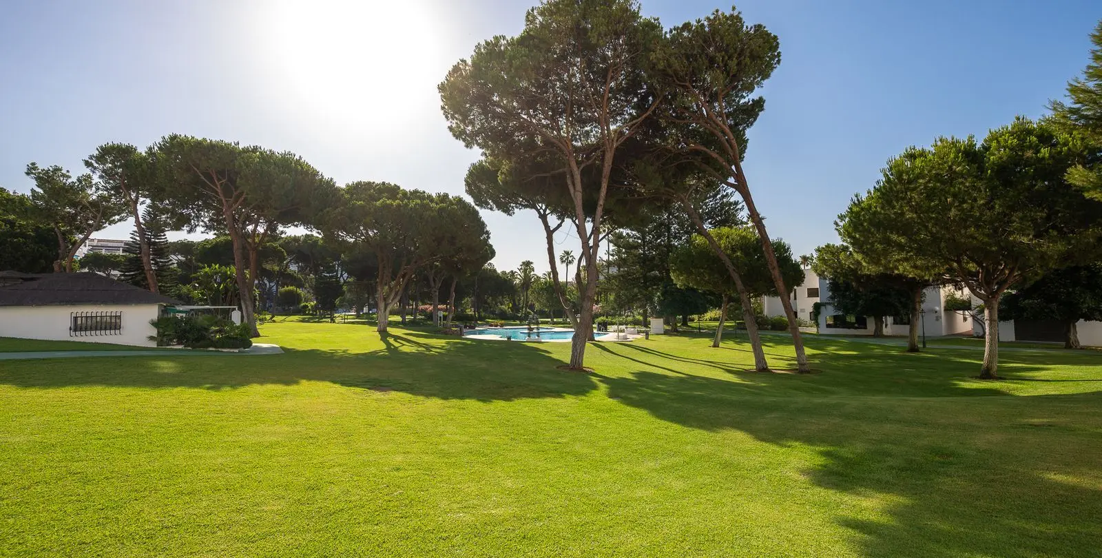 Sale of middle floor apartment in Puerto Banús 7