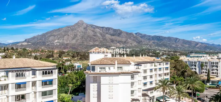 Sale of middle floor apartment in Puerto Banús 0