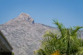 Image 76 thumb