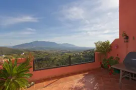 Image 4 thumb