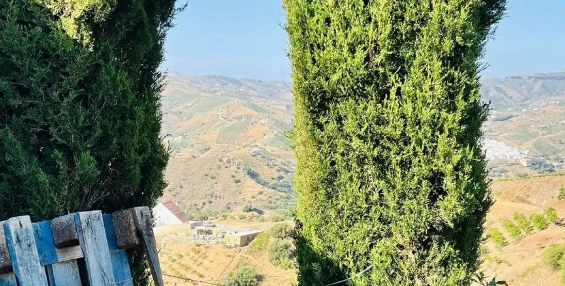 Venta de finca - cortijo en Almachar 27