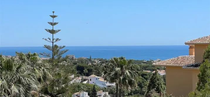 Продажа  отдельно стоящей виллы в Mijas 0