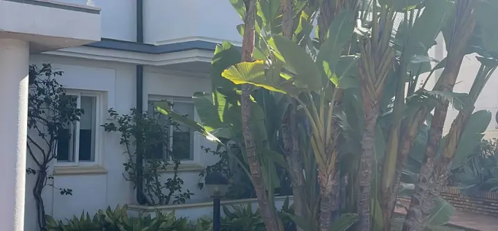 Venta de adosado en Estepona 0
