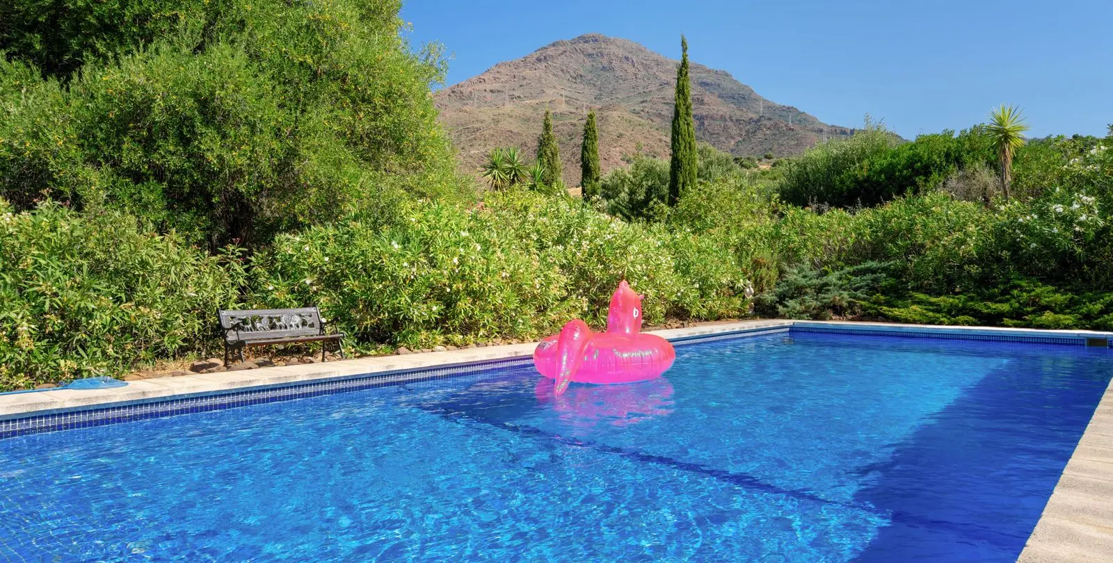 Sale of detached villa in Estepona 6