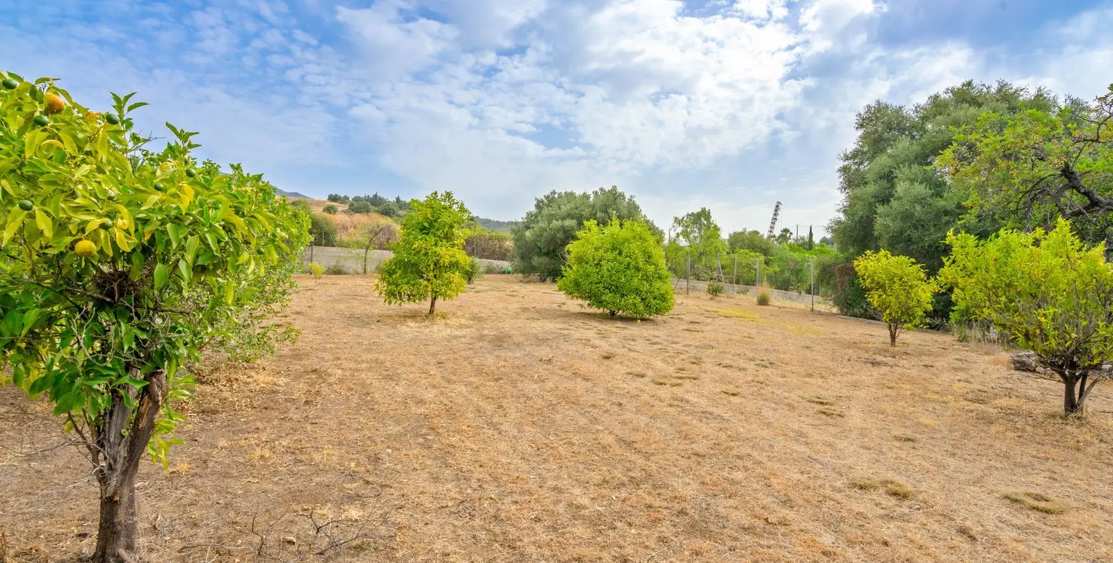 Sale of detached villa in Estepona 13