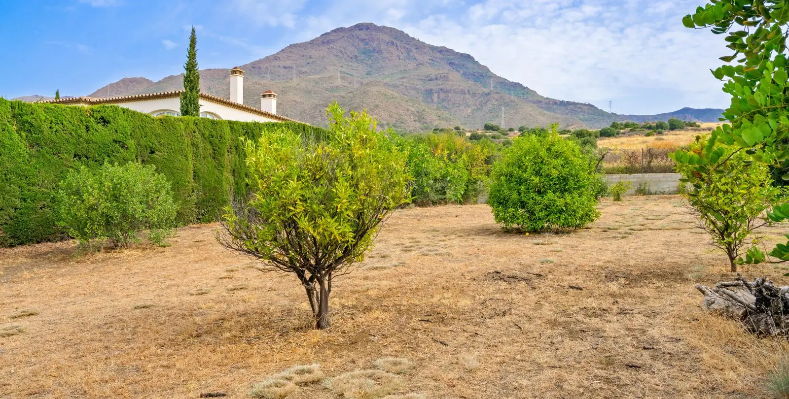 Sale of detached villa in Estepona 20