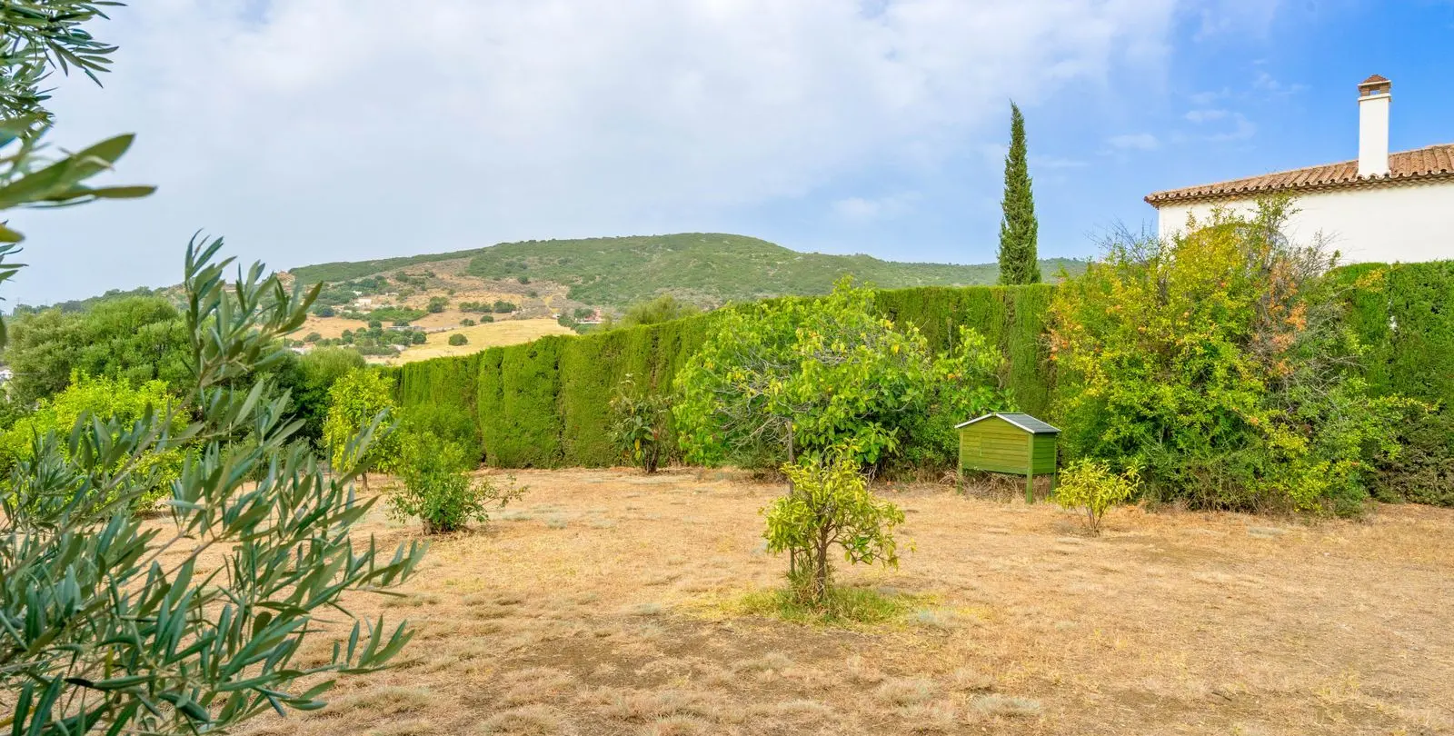Sale of detached villa in Estepona 22