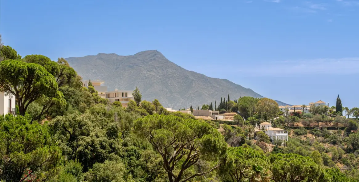 Sale of detached villa in El Madroñal 93
