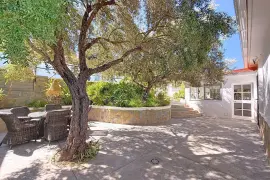Image 5 thumb