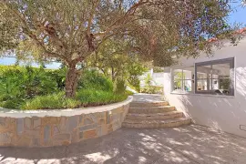 Image 7 thumb