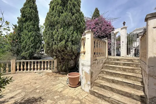 Image 6 thumb