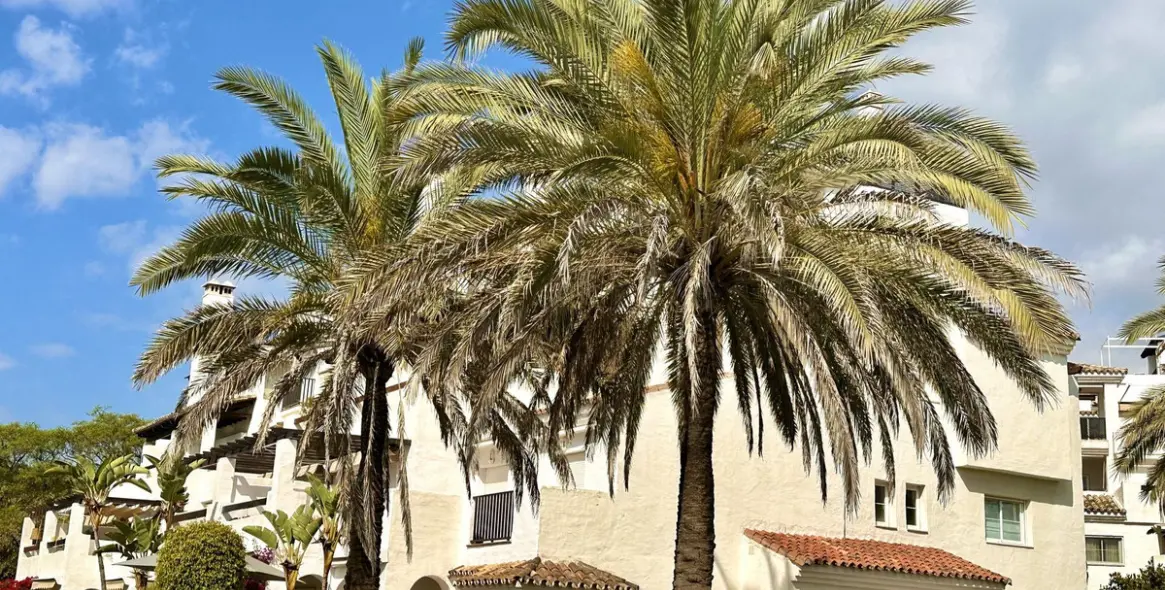Long-term rent of ground floor apartment in San Pedro de Alcántara 42