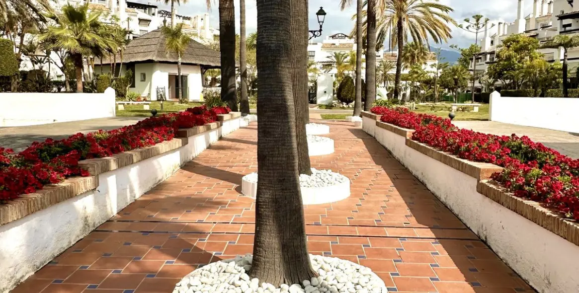 Long-term rent of ground floor apartment in San Pedro de Alcántara 48