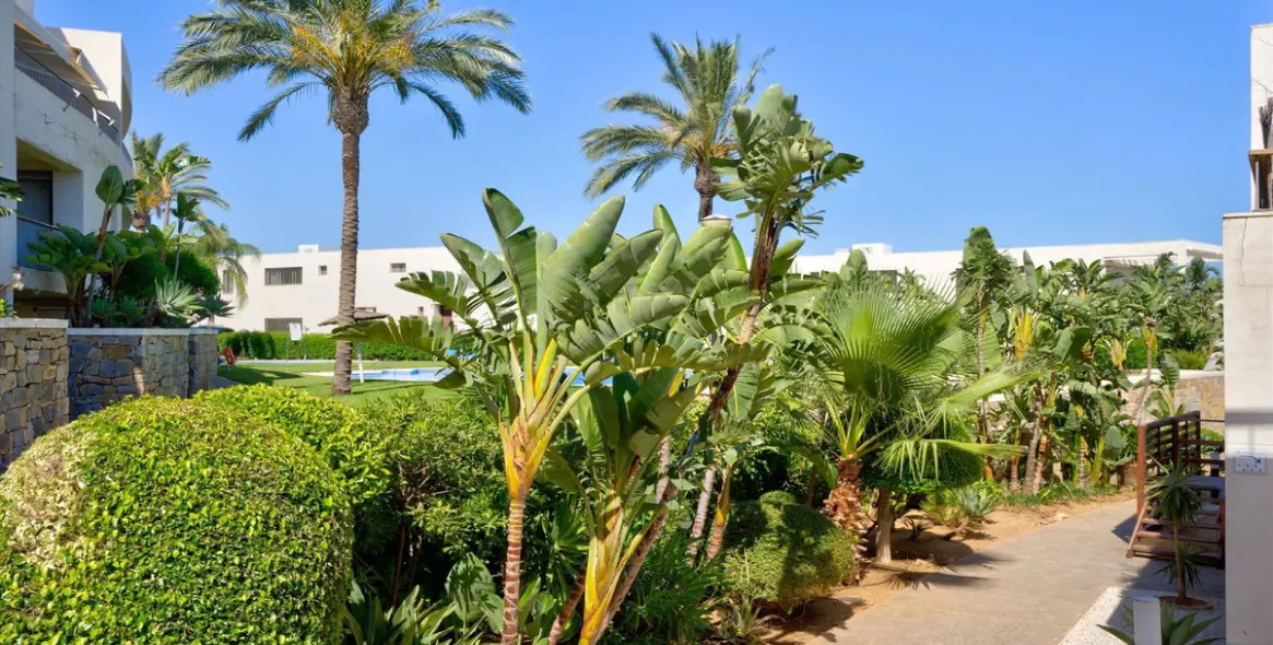 Sale of middle floor apartment in Altos de los Monteros 21