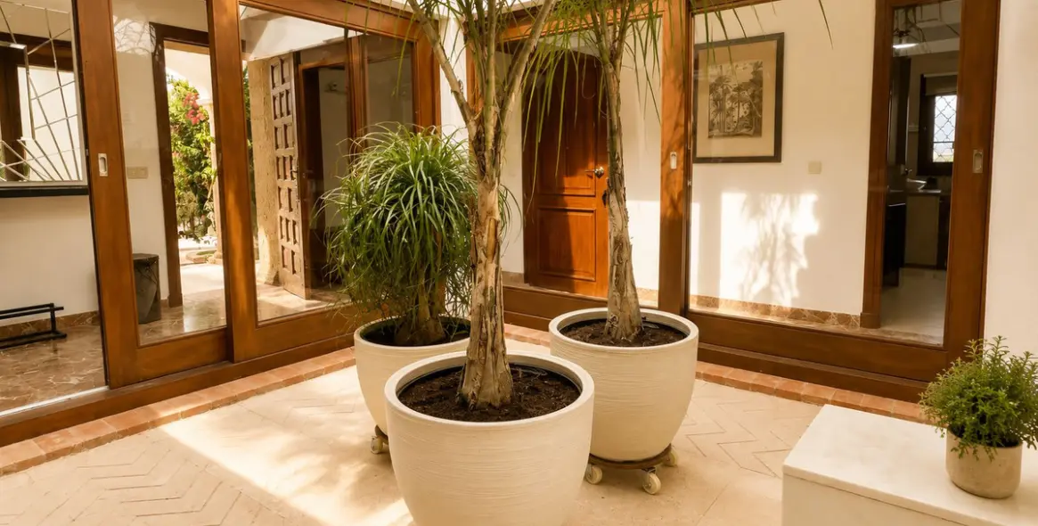 Long-term rent of detached villa in El Paraiso 5