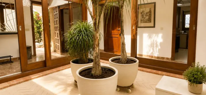 Long-term rent of detached villa in El Paraiso 4