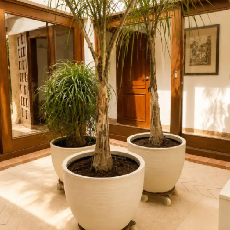Long-term rent of detached villa in El Paraiso