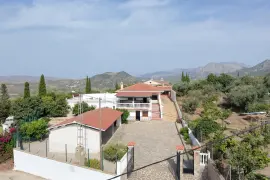 Image 4 thumb