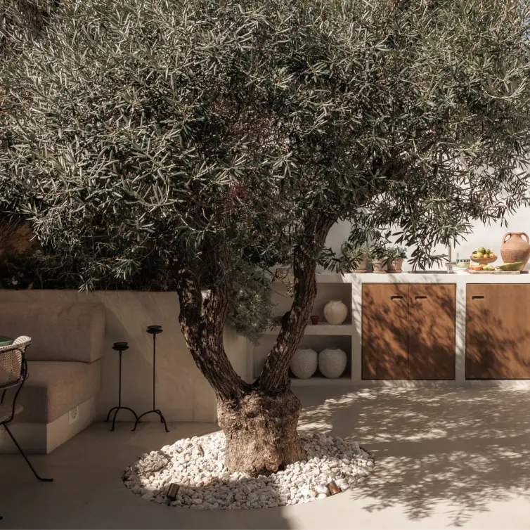 Sale of semi-detached house in Nueva Andalucía
