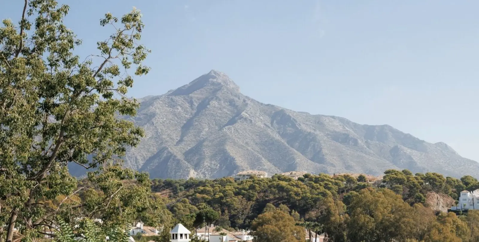 Sale of semi-detached house in Nueva Andalucía 9
