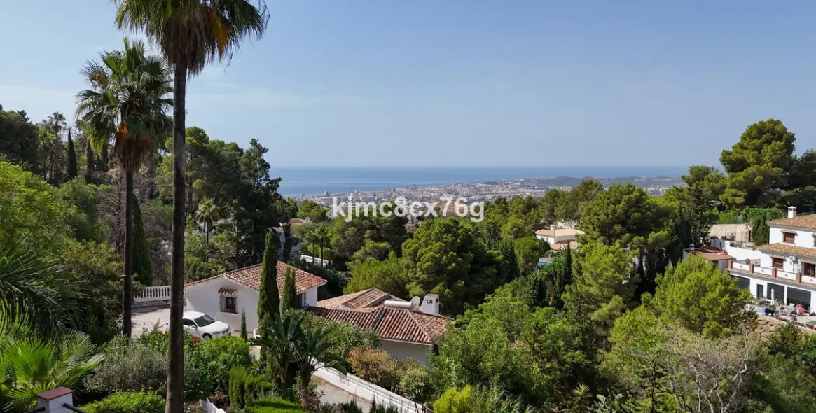 Sale of detached villa in Mijas 2