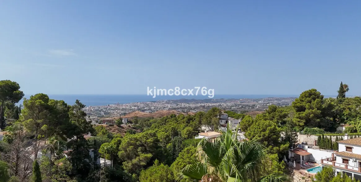 Sale of detached villa in Mijas 58