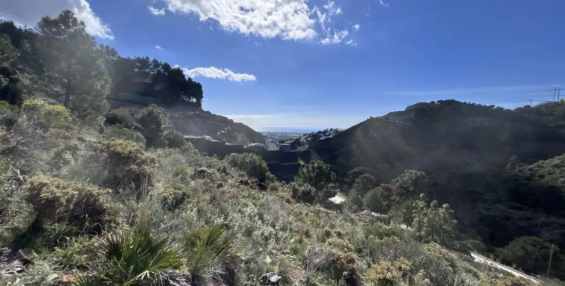 Sale of residential plot in El Madroñal 1