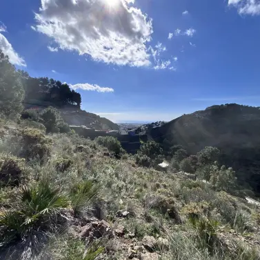 Sale of residential plot in El Madroñal