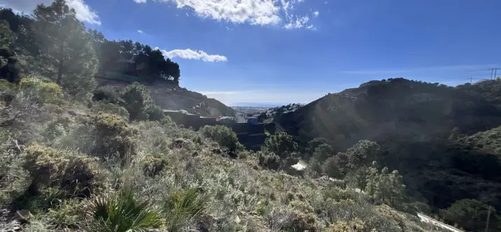 Sale of residential plot in El Madroñal 0