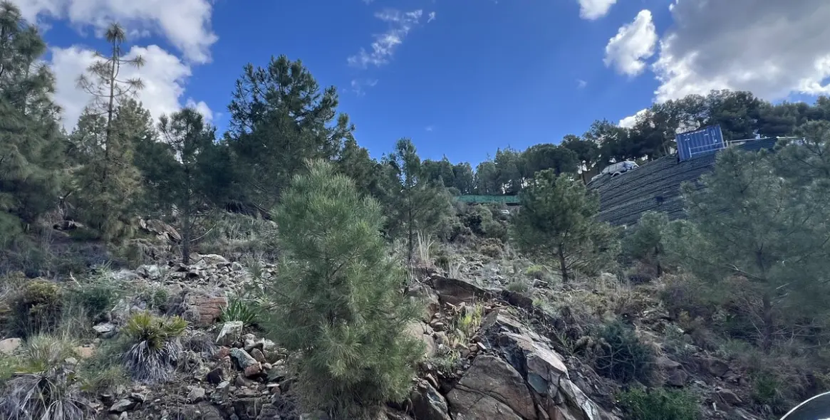 Sale of residential plot in El Madroñal 2