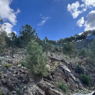 Sale of residential plot in El Madroñal