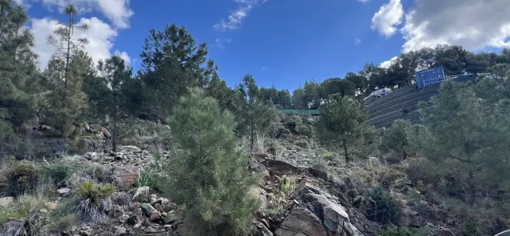 Sale of residential plot in El Madroñal 1