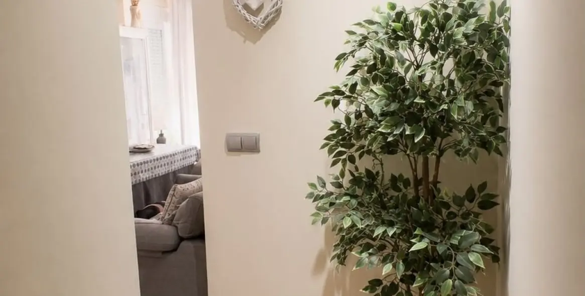 Sale of middle floor apartment in Fuengirola 3
