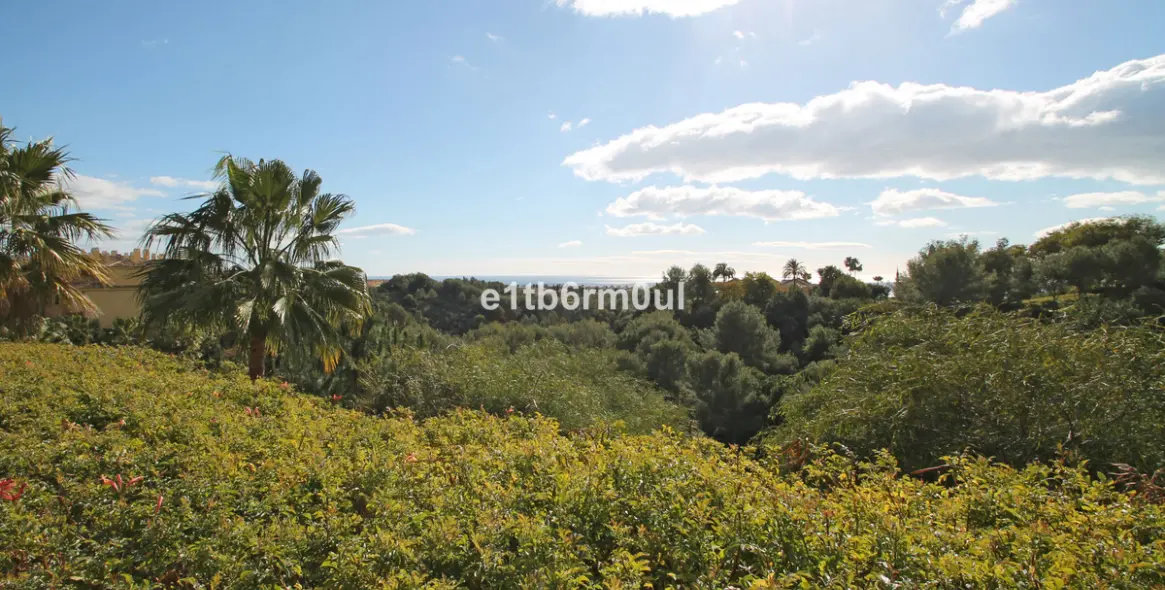 Sale of middle floor apartment in The Golden Mile 29