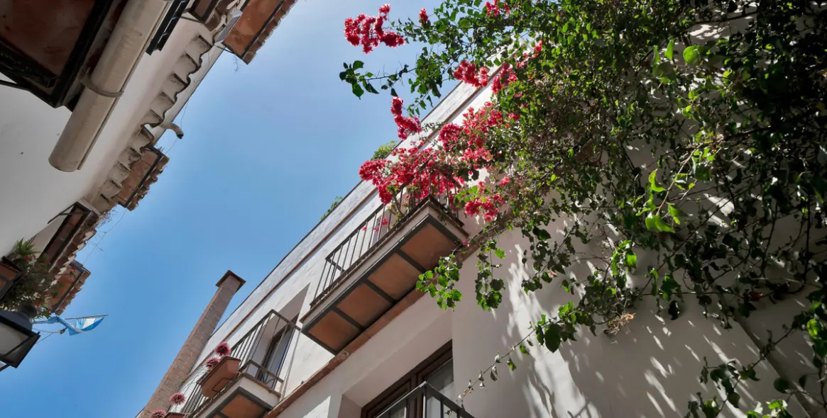 Venta de local comercial en Marbella 2