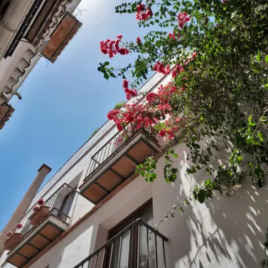 Sale of commercial premises in Marbella