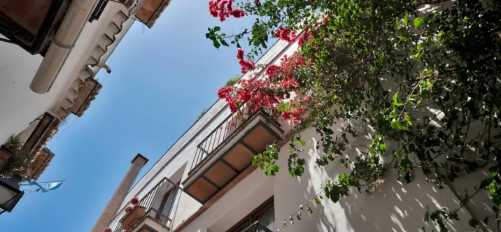 Sale of commercial premises in Marbella 1